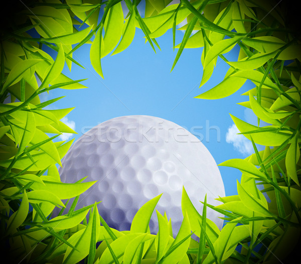 Golf ball hole Stock photo © designsstock