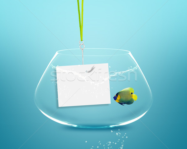 Anglefish Stock photo © designsstock