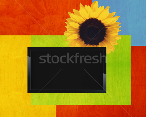 Black LCD tv Stock photo © designsstock