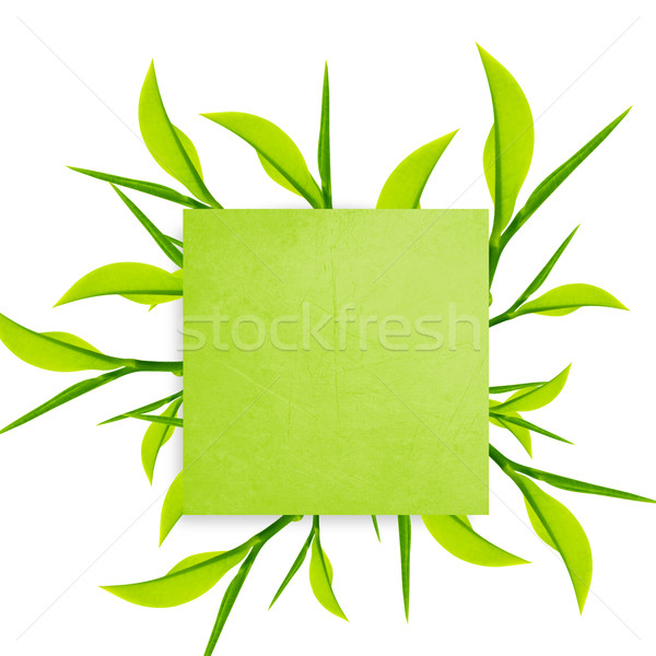 Stockfoto: Schrijfpapier · groene · paperclip · groene · bladeren · witte