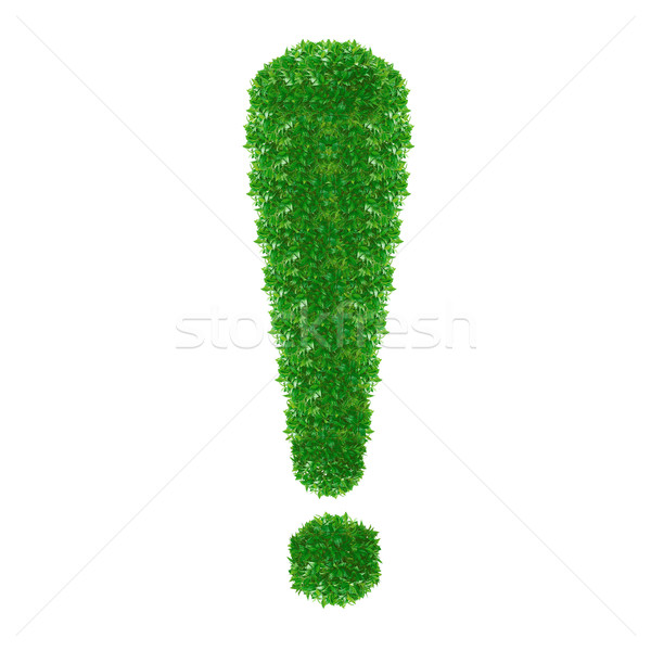 Grünen Ausrufezeichen Gras isoliert weiß Textur Stock foto © designsstock