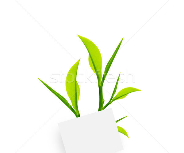 Notepaper  Stock photo © designsstock