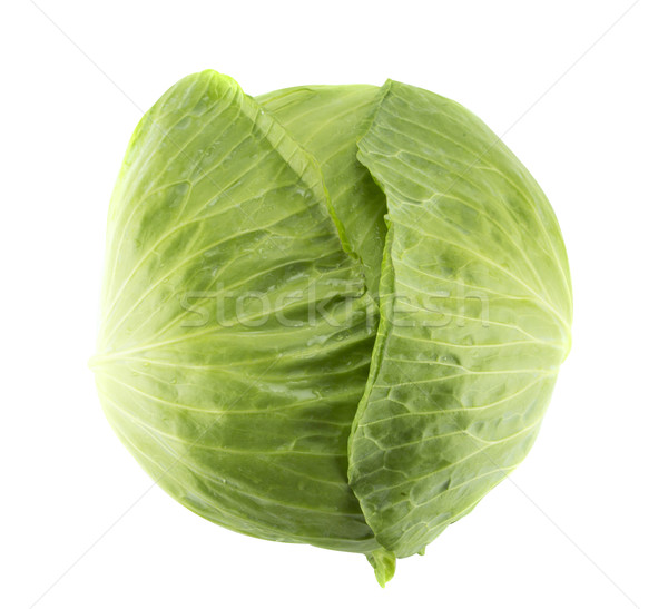 Fresh green cabbage  Stock photo © designsstock