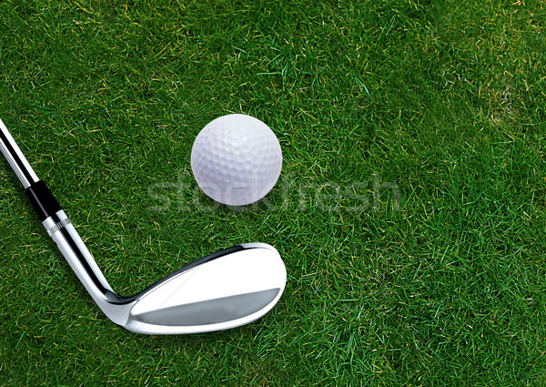 Golf ball  Stock photo © designsstock