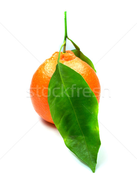 Fresh orange Stock photo © designsstock