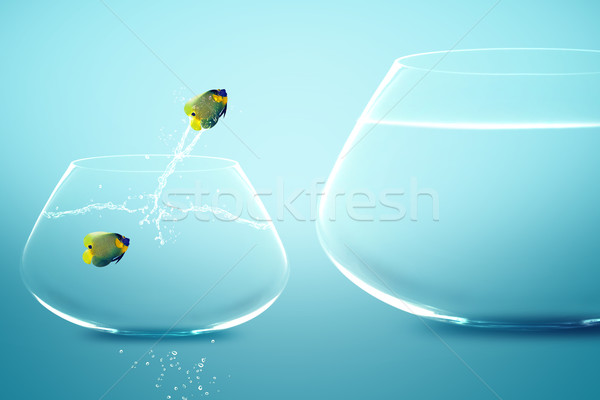 Anglefish in small fishbowl watching goldfish jump into large fi Stock photo © designsstock