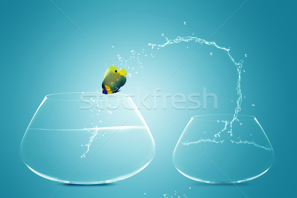 Jumping mare castron bine new life ambitie Imagine de stoc © designsstock
