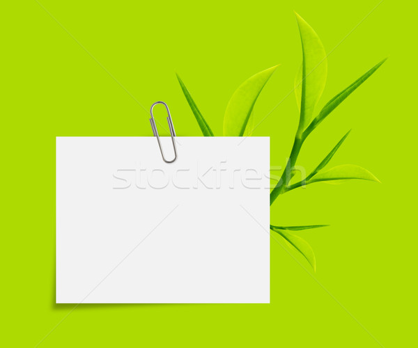 Notepaper  Stock photo © designsstock