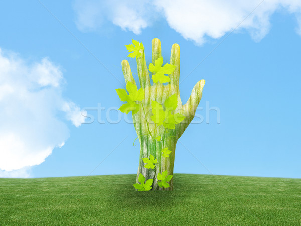 экология зеленый стороны из землю дерево Сток-фото © designsstock