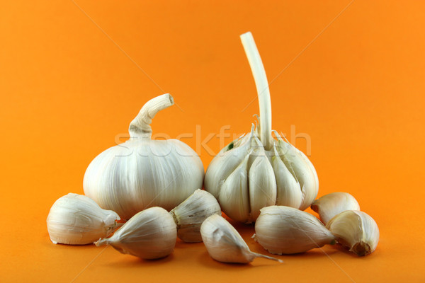 Garlic Stock photo © designsstock