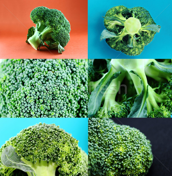 Gezonde ingesteld vers broccoli natuur Stockfoto © designsstock