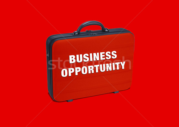 Business  case  Stock photo © designsstock