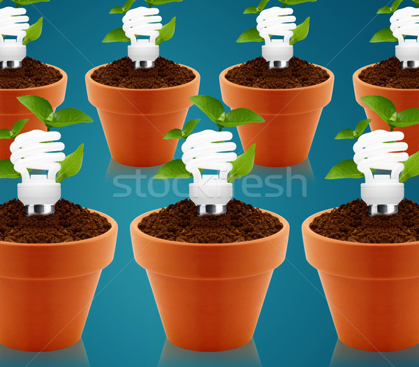 Green energy Stock photo © designsstock