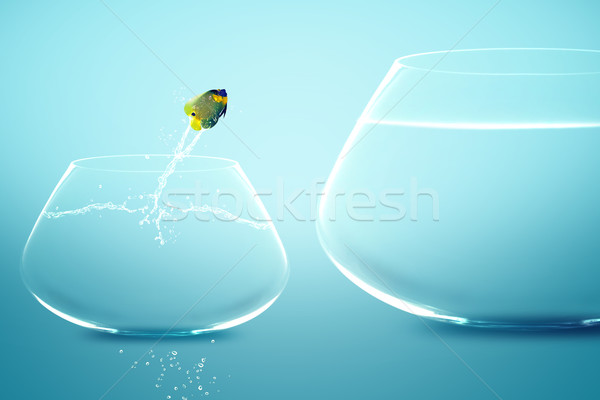 Anglefish jumping into bigger fishbowl Stock photo © designsstock