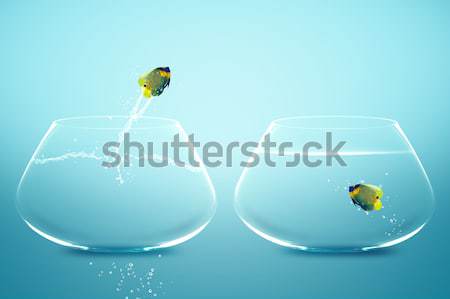 goldfish in small fishbowl watching goldfish jump into large fis Stock photo © designsstock