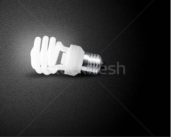 one glowing Light bulb Stock photo © designsstock