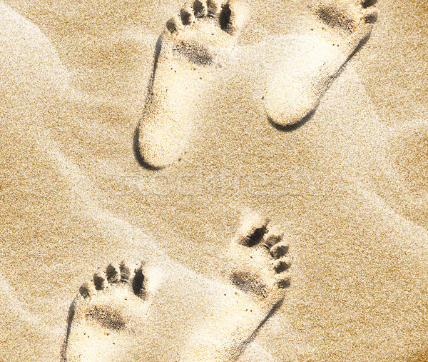 footprints Stock photo © designsstock