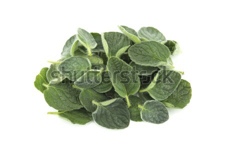 thyme herb Stock photo © designsstock