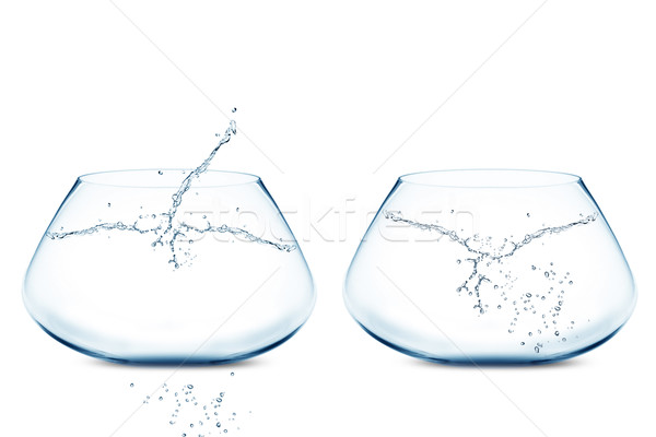 Empty Two fishbowls  Stock photo © designsstock