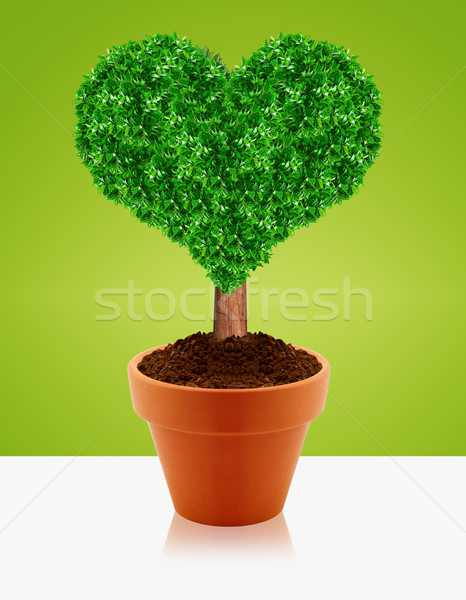 Foto stock: Pequeño · olla · verde · naturaleza · hoja