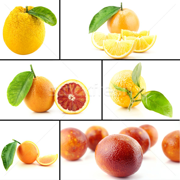 Egészséges bioélelmiszer szett friss narancs természet Stock fotó © designsstock