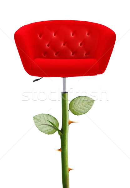 Red Chair Stock photo © designsstock