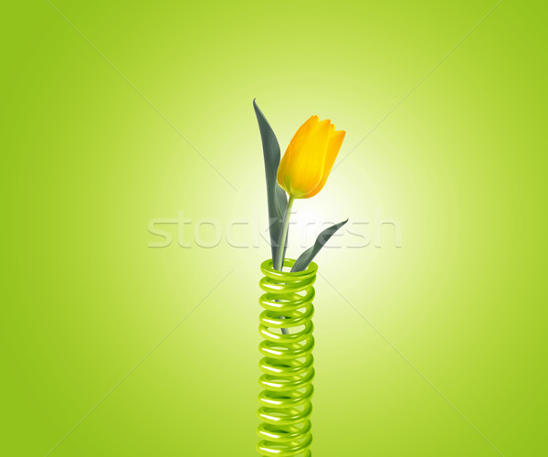 Сток-фото: металл · весны · зеленый · желтый · Tulip · аннотация