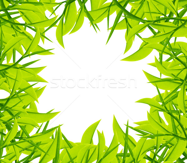 Golf ball hole Stock photo © designsstock