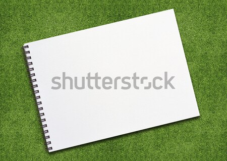Notebook on grassland Stock photo © designsstock