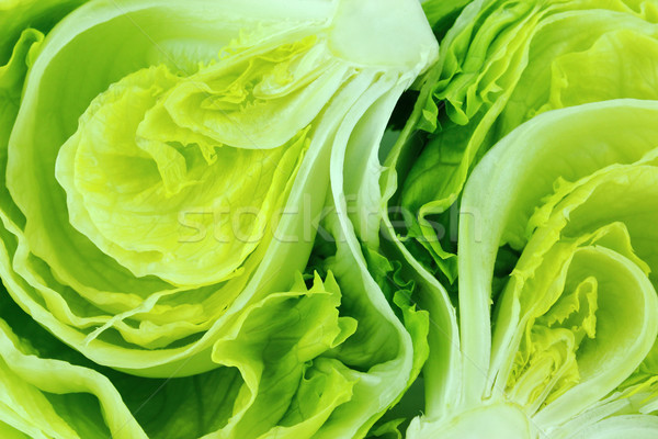 Verde aisberg salată verde proaspăt natură trece Imagine de stoc © designsstock