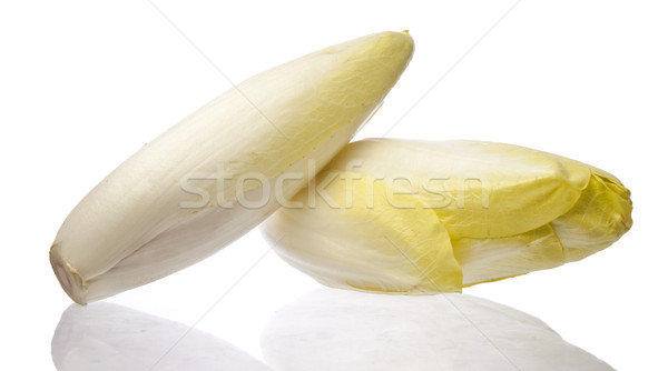 Brussels Chicory isolated over white Stock photo © devulderj
