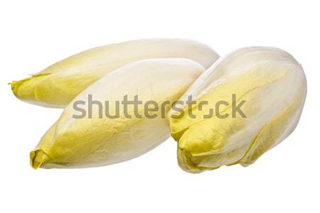 Brussels Chicory isolated over white Stock photo © devulderj