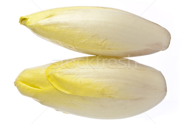 Brussels Chicory isolated over white Stock photo © devulderj