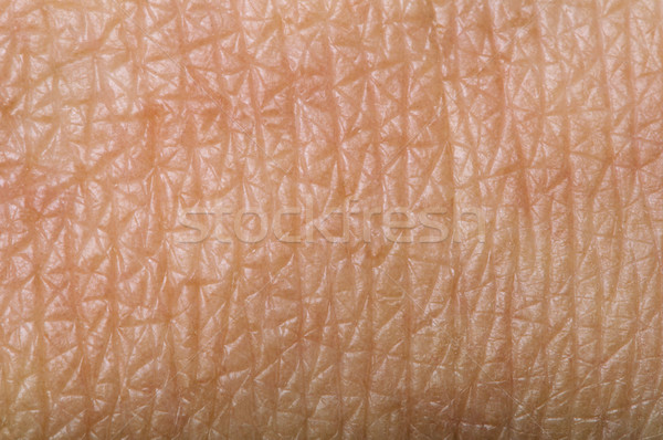 Stock photo: Human skin
