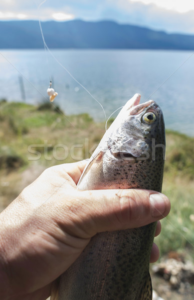 Pescatore pesce montagna uomo felice natura Foto d'archivio © deyangeorgiev