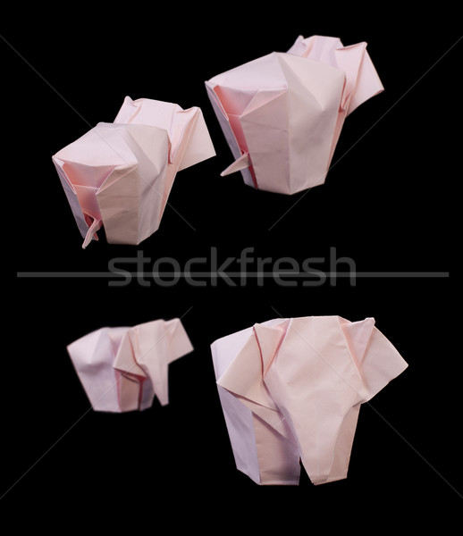 Pink elephants black isolated Stock photo © deyangeorgiev