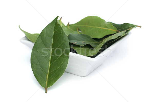 Liść laurowy przyprawy puchar biały liści tle Zdjęcia stock © deyangeorgiev
