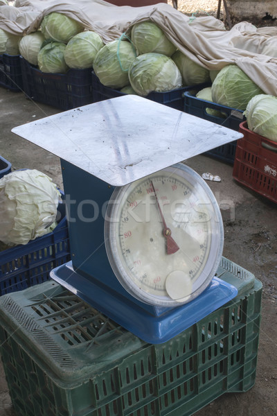 Sale cabbage in the market Stock photo © deyangeorgiev