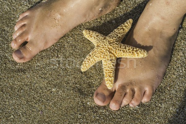 Stockfoto: Zeester · voeten · strand · zee · golven · meisje