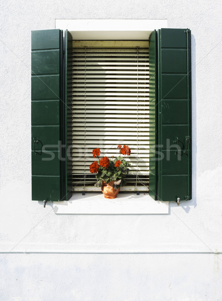 Foto stock: Veneziano · windows · flores · verde · janela · branco