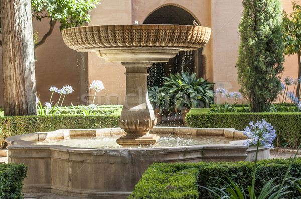 Jardin fleurs fontaine soleil fleur herbe [[stock_photo]] © deyangeorgiev