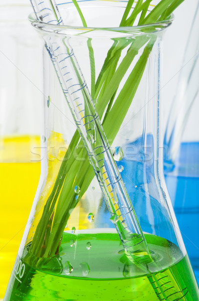 Verde plantas laboratorio blanco médicos Foto stock © deyangeorgiev