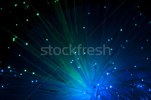 Optical fibers Stock photo © deyangeorgiev