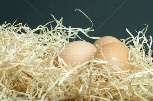 Сток-фото: сырой · яйца · соломы · три · природы · яйцо