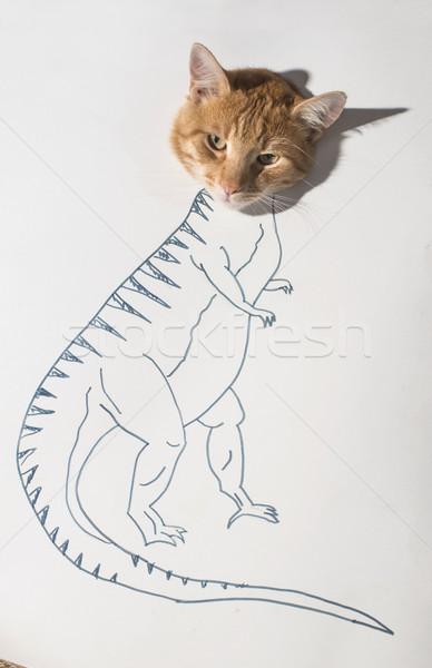 Strong cat conception drawing Stock photo © deyangeorgiev
