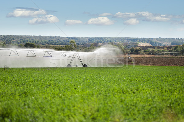 Nawadnianie wody żywności trawy charakter dziedzinie Zdjęcia stock © deyangeorgiev