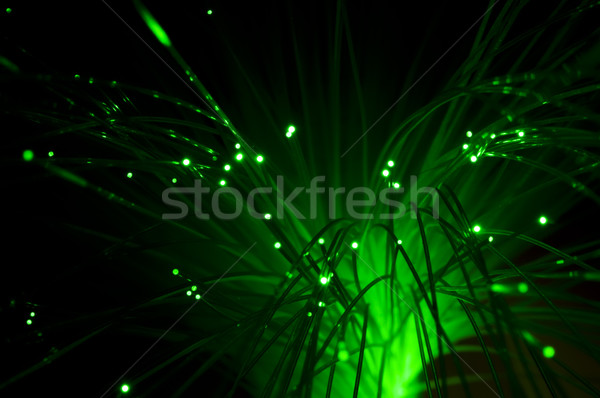 Optical fibers Stock photo © deyangeorgiev