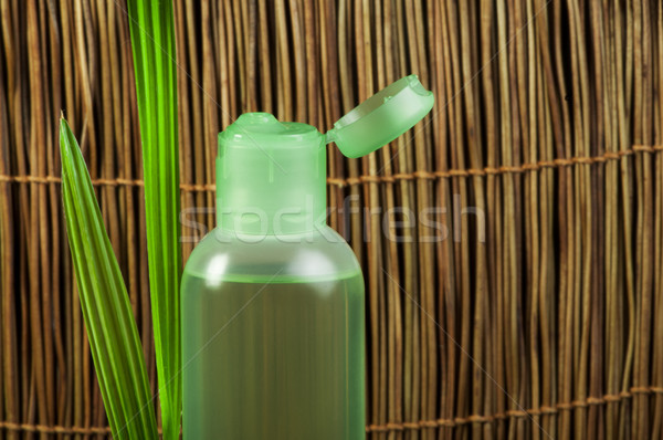 Vert cosmétiques bouteille feuille feuille verte espace de copie Photo stock © deyangeorgiev