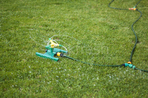 Prato sprinkler erba verde acqua primavera Foto d'archivio © deyangeorgiev