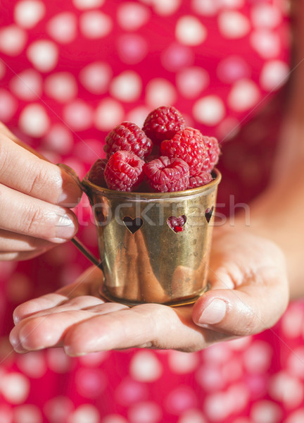 Stock fotó: Nő · tart · csésze · málna · vörös · ruha · kezek